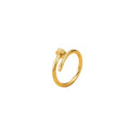 Anillo Clavo Dorado